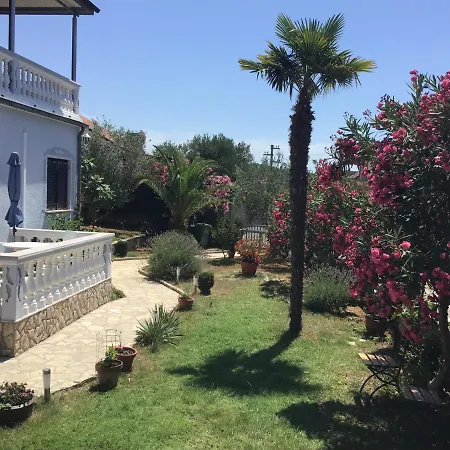 Daire Misic Ždrelac