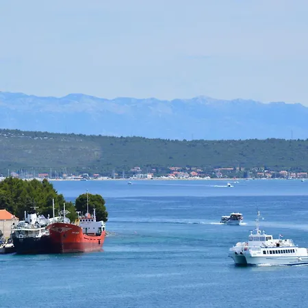 Daire Misic Ždrelac