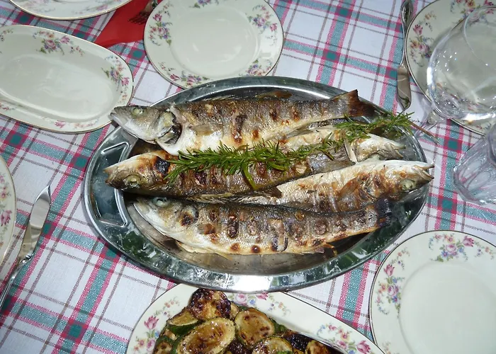 Misic Ždrelac