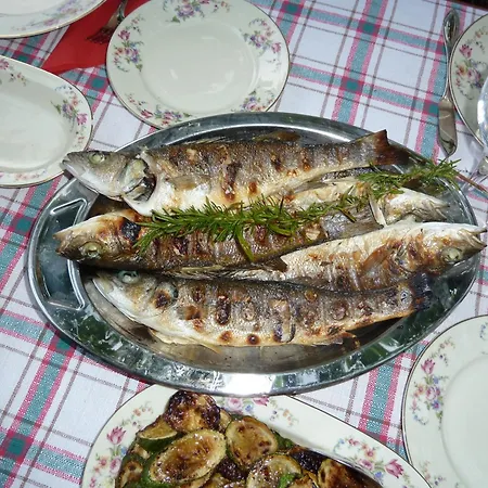 Misic Ždrelac