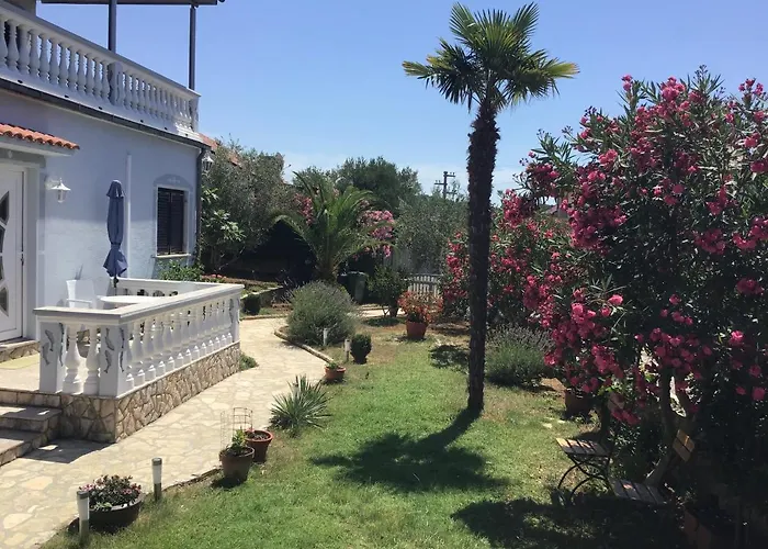 Apartman Misic Zdrelac