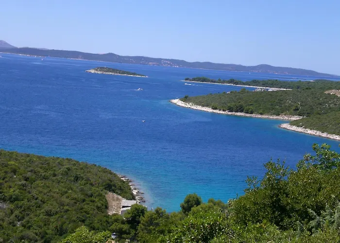 Misic * Ждрелац